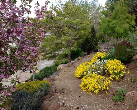 Garden Photo