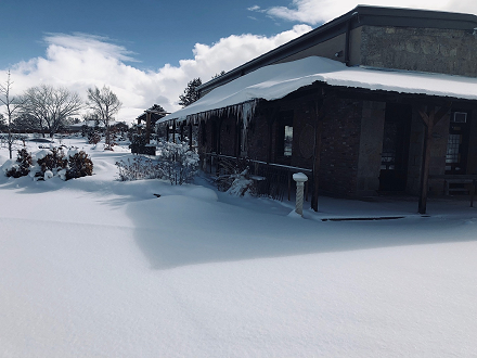 Winter shot of the Old Station