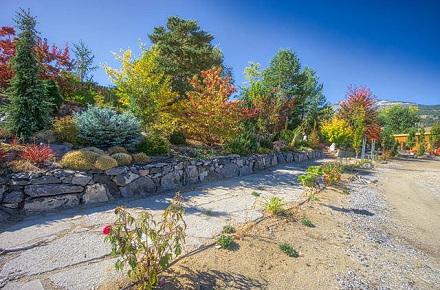 Washoe Zephyr Autumn Pathway